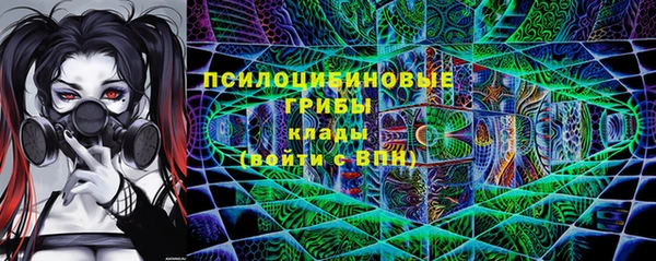 круглые Алексеевка