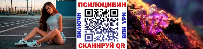 kraken tor  Игарка  Галлюциногенные грибы мицелий 